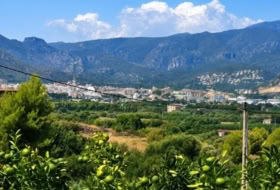 Foto 16