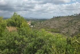 Foto 9