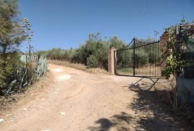 Cantillana 19806&nbsp;m²