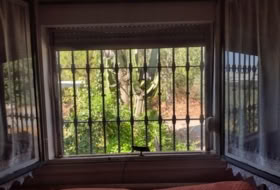 Cantillana 19806&nbsp;m²