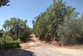 Cantillana 19806&nbsp;m²