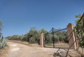 Cantillana 19806&nbsp;m²