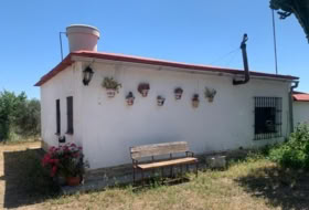Cantillana 19806&nbsp;m²