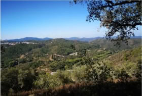 Galaroza 97455&nbsp;m²
