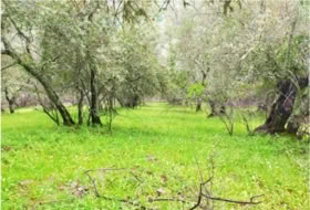 Galaroza 97455&nbsp;m²