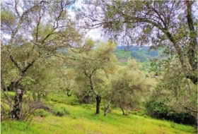 Galaroza 97455&nbsp;m²
