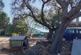 Higuera de la Sierra 1500&nbsp;m²