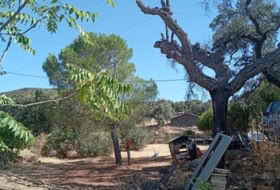 Higuera de la Sierra 1500&nbsp;m²