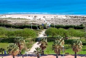 Oliva 447&nbsp;m² 