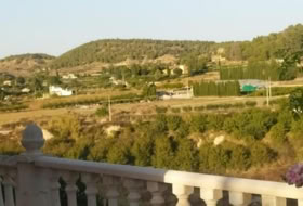 Foto 15