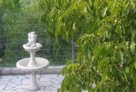 Foto 10