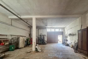 Foto 19