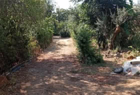 Higuera de la Sierra 19705&nbsp;m²