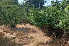 Higuera de la Sierra 19705&nbsp;m²