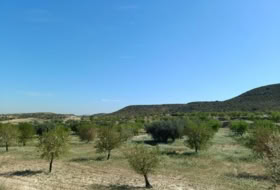 Murcia 65940&nbsp;m²