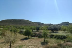 Murcia 65940&nbsp;m²