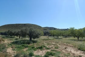 Murcia 65940&nbsp;m²