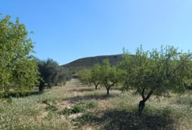 Murcia 65940&nbsp;m²