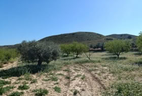 Murcia 65940&nbsp;m²