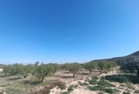 Murcia 65940&nbsp;m²