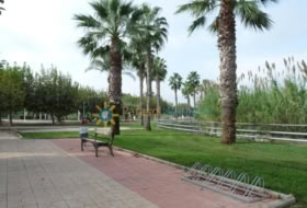 Foto 8