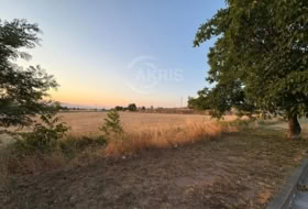 Calldetenes 2557&nbsp;m² 