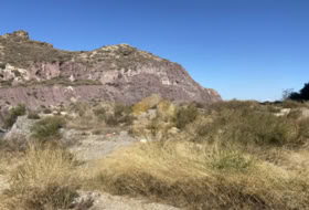 Garrucha 2000&nbsp;m²