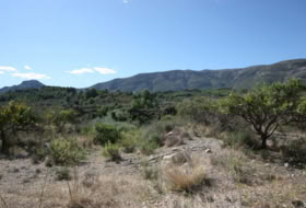Murla 28258&nbsp;m²