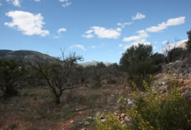 Murla 28258&nbsp;m²
