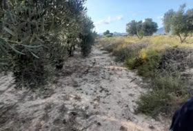 Foto 9