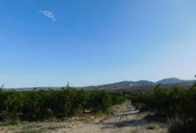 Foto 15