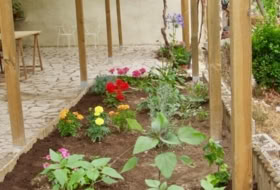 Foto 4