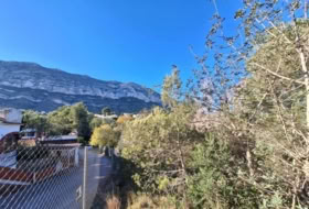 Foto 19