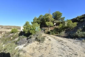 Foto 16