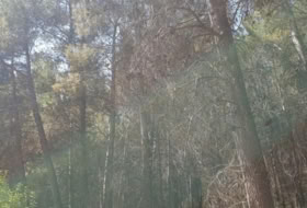 Los Villares 200&nbsp;m²