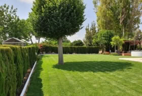 Foto 8