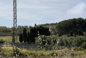 Foto 19