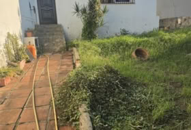 Foto 8