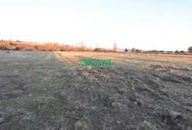 Ciudad Rodrigo 67800&nbsp;m²