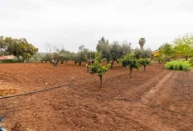 Badajoz 280&nbsp;m²