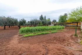 Badajoz 280&nbsp;m²