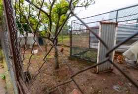 Badajoz 280&nbsp;m²