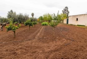 Badajoz 280&nbsp;m²