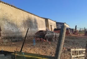 Foto 8