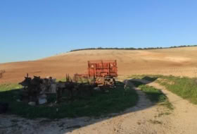 Foto 4