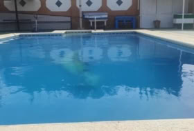 Foto 9