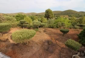Foto 13