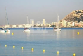 Foto 8