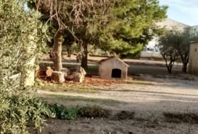 Foto 8