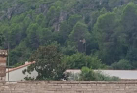 Alzira 342&nbsp;m²